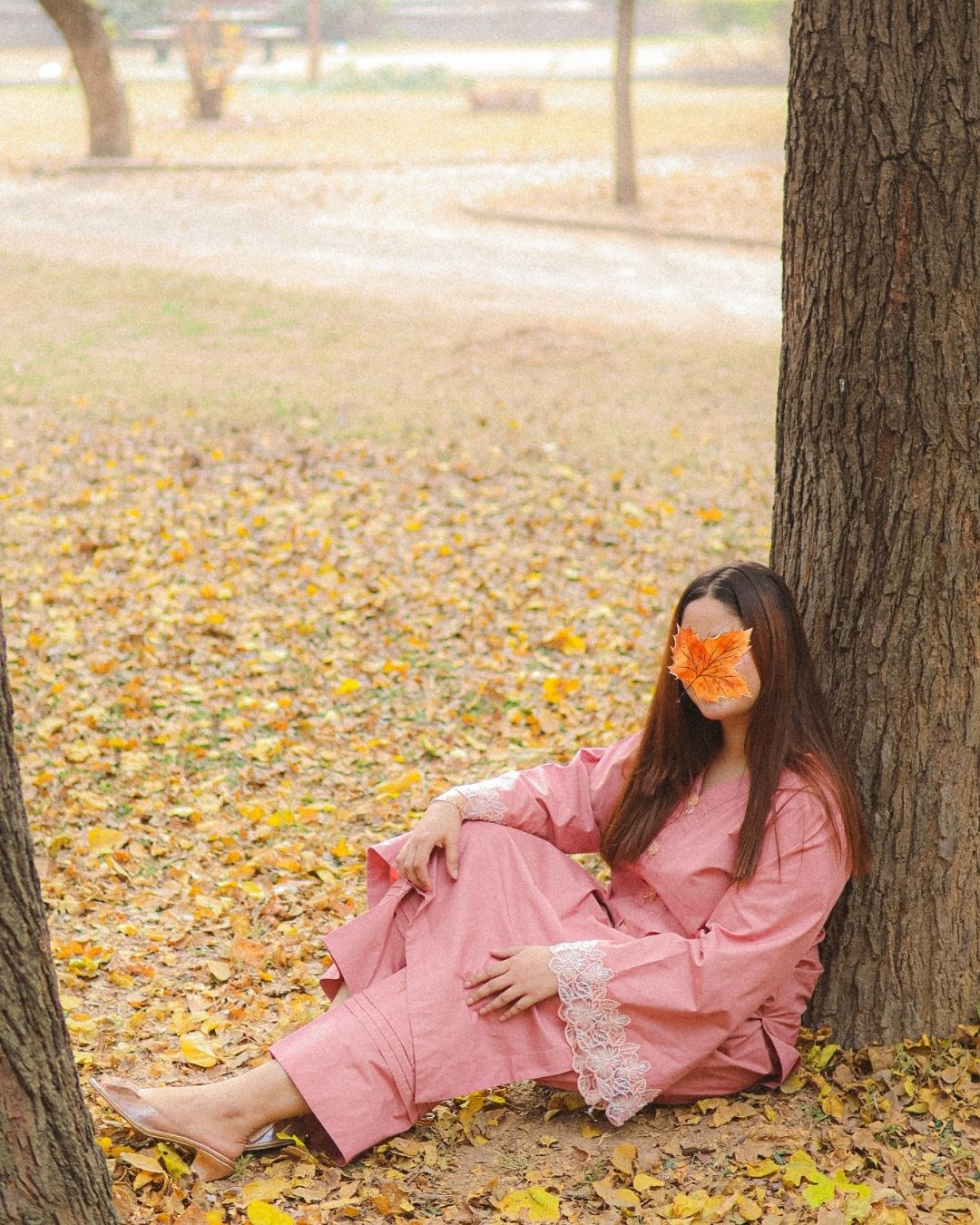Gul-e-Naaz