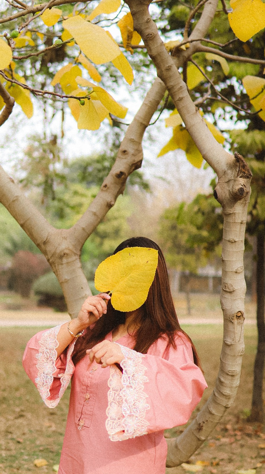 Gul-e-Naaz